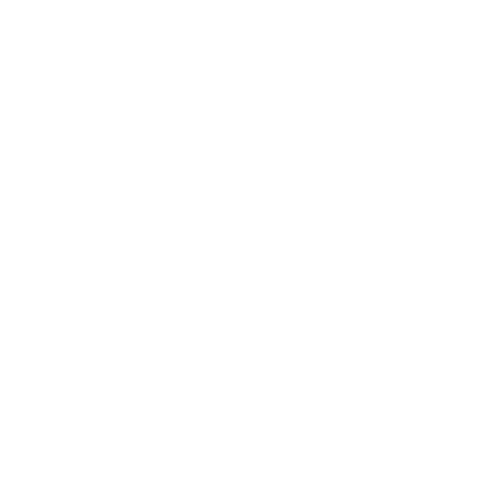 Rebin Group Logo